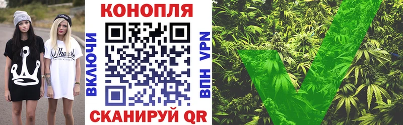 Конопля план  как найти наркотики  Невинномысск 